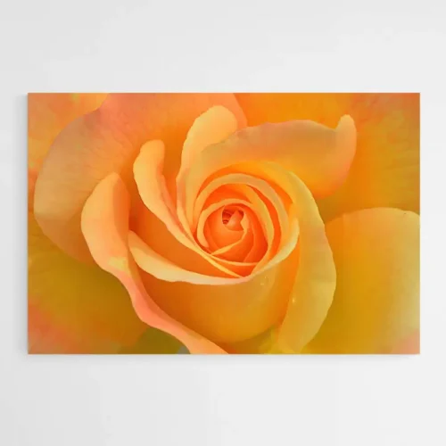 Tableau Fleur Orange