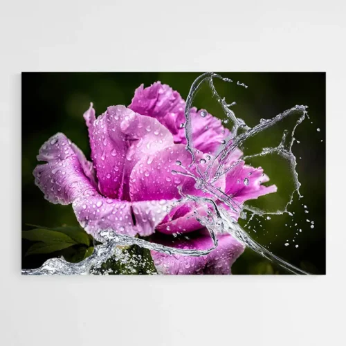 Tableau Fleur Pivoine