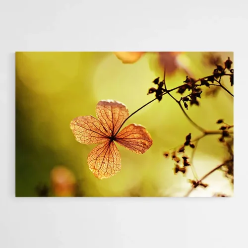 Tableau Fleur Séchée