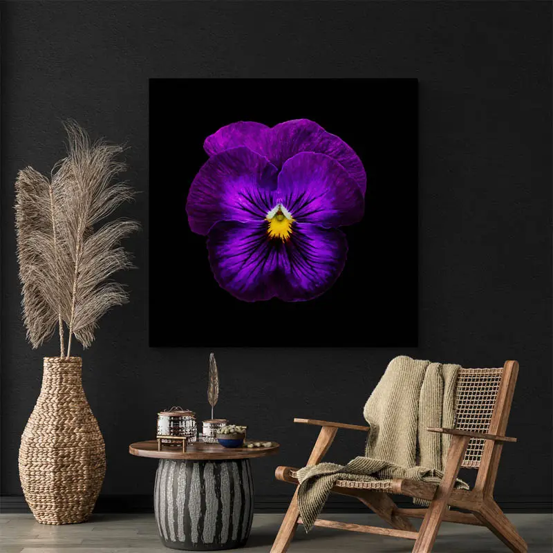 Tableau Fleur Violette