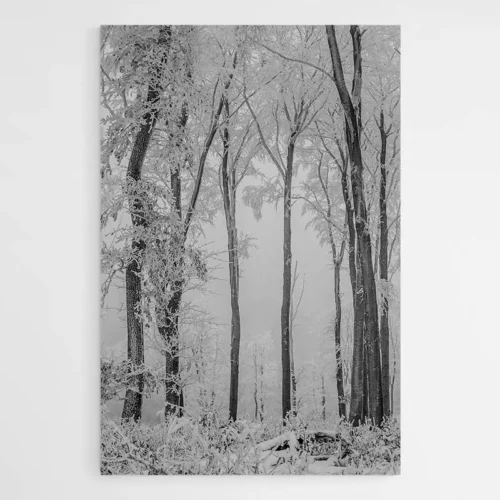 Tableau Forêt Enneigée