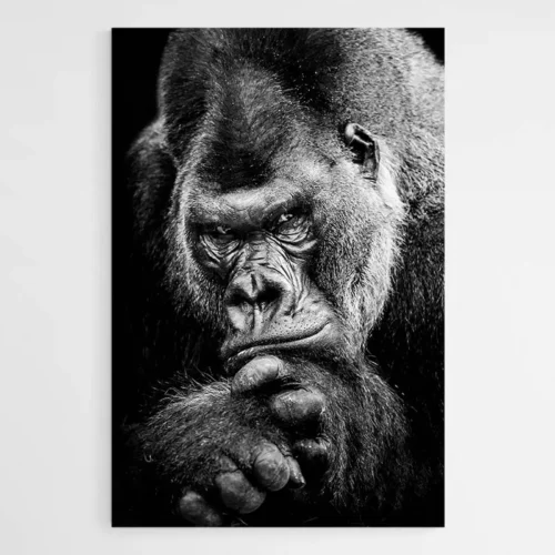 Tableau Gorille Noir et Blanc