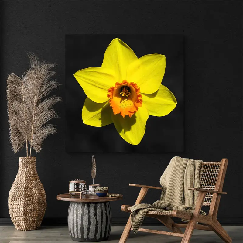 Tableau Jonquille