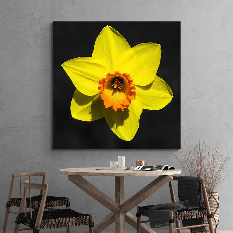 Tableau Jonquille