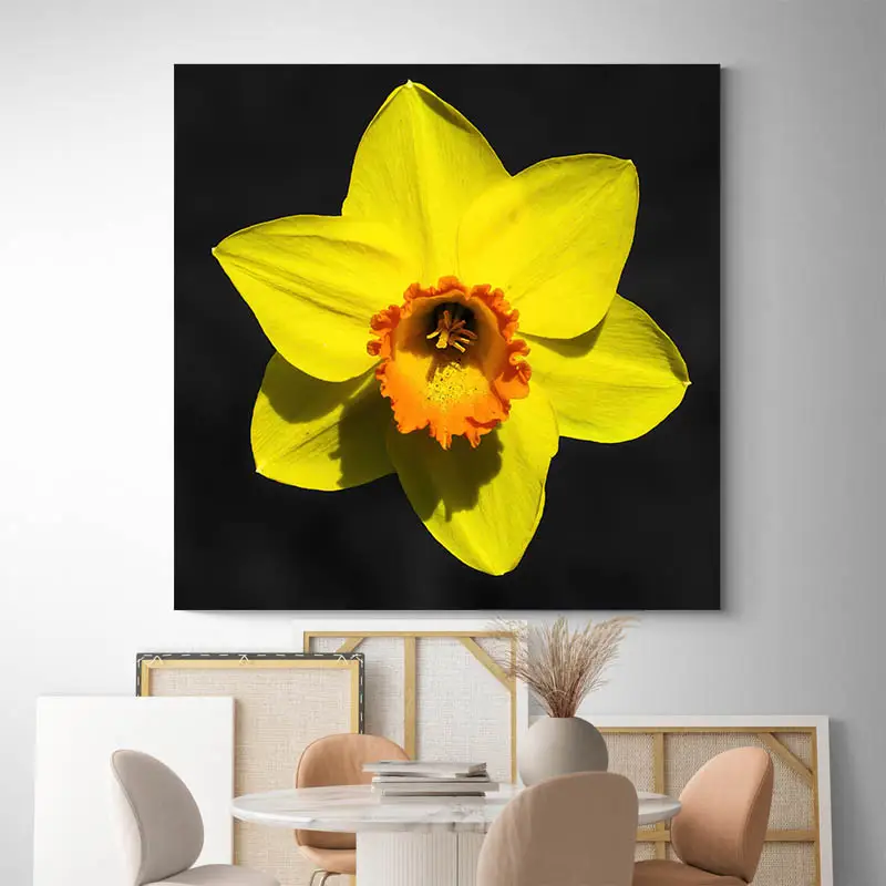 Tableau Jonquille
