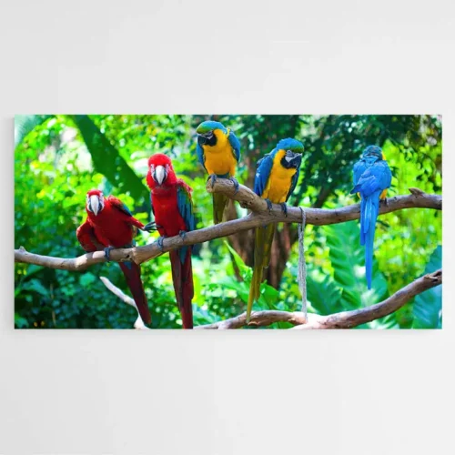 Tableau Jungle Perroquet