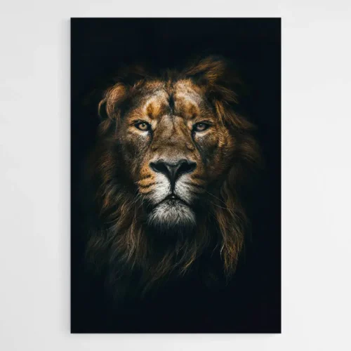 Tableau Lion Fond Noir