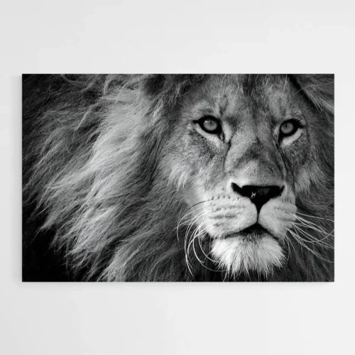 Tableau Lion Noir