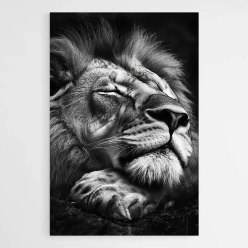 Tableau Lion Qui Dort