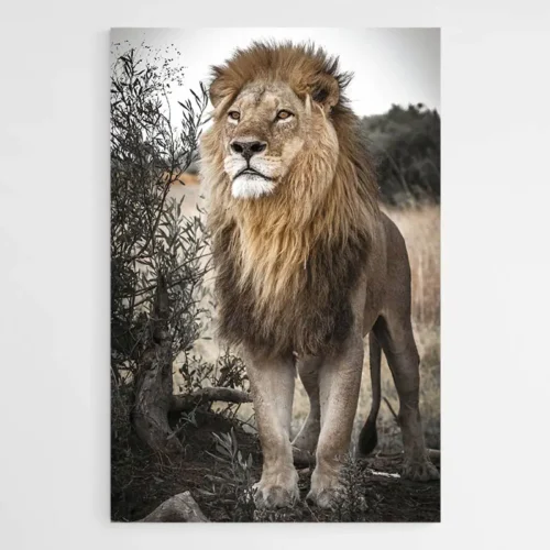 Tableau Lion Sauvage