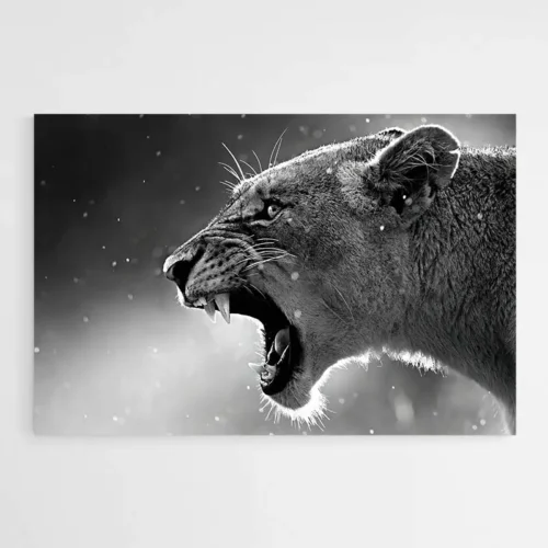 Tableau Lionne noir et blanc