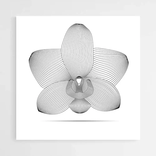 Tableau Orchidée Moderne