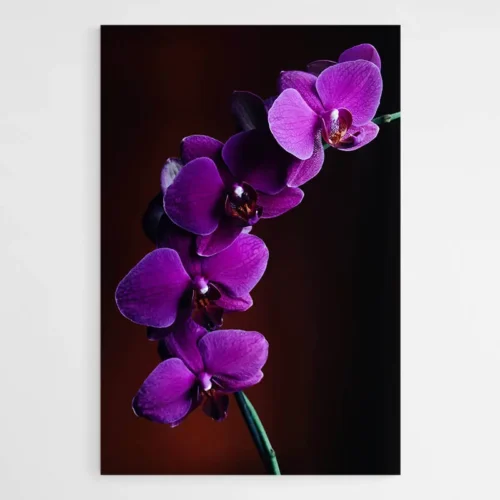 Tableau Orchidée Violet