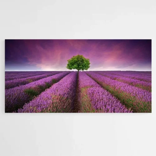 Tableau Paysage Lavande