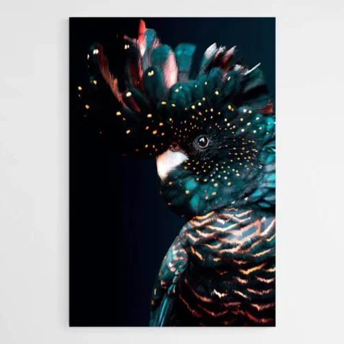 Tableau Perroquet Noir