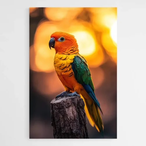 Tableau Perroquet Orange