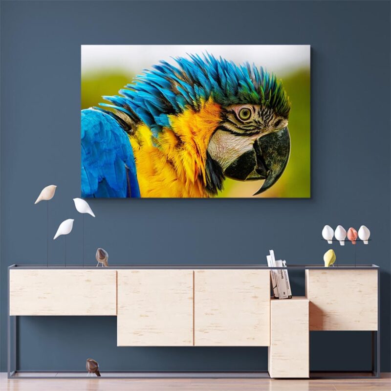 Tableau Perroquet Original