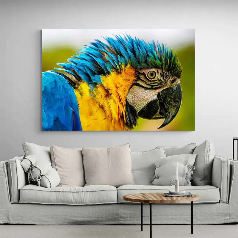 Tableau Perroquet Original