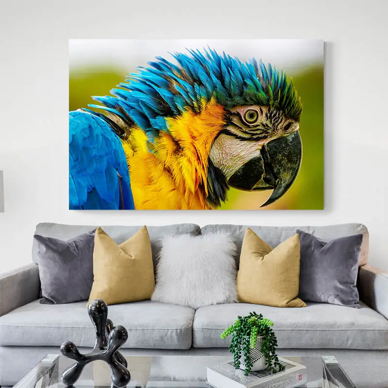 Tableau Perroquet Original