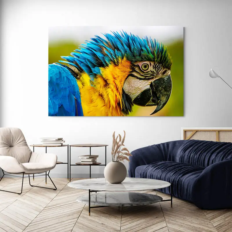 Tableau Perroquet Original