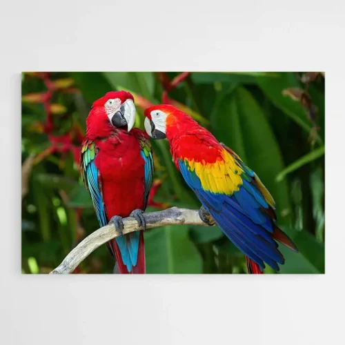 Tableau Perroquet sur Branche