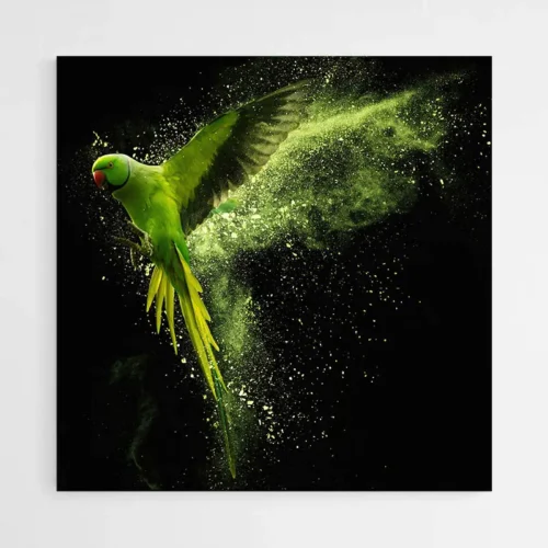 Tableau Perroquet Vert