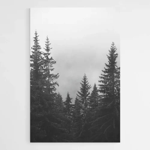 Tableau Scandinave Nordique