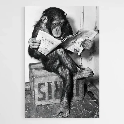 Tableau Singe Drôle