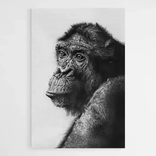 Tableau Singe Noir et Blanc