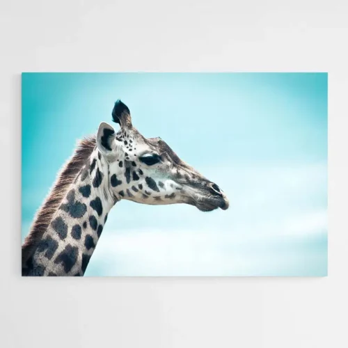 Tableau Tête de Girafe