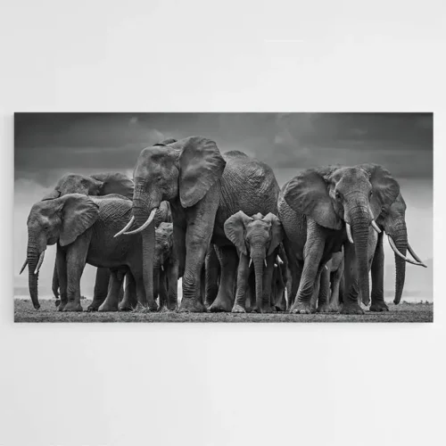 Tableau Troupeau Éléphants