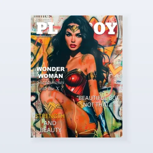 Tableau Playboy Wonder Woman